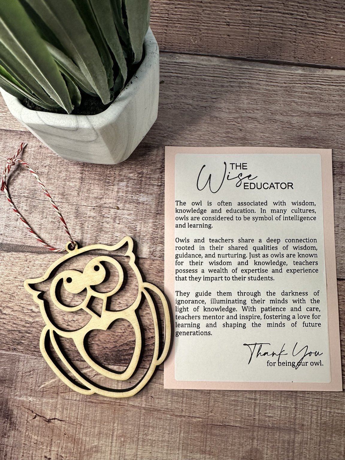 The Wise Educator