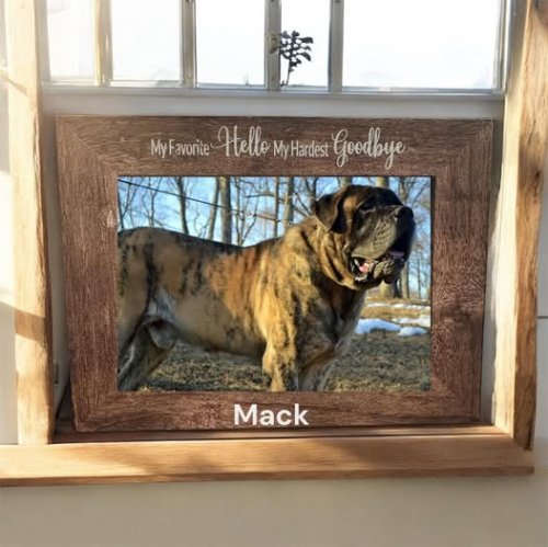Pet Memorial Frame 4x6 
