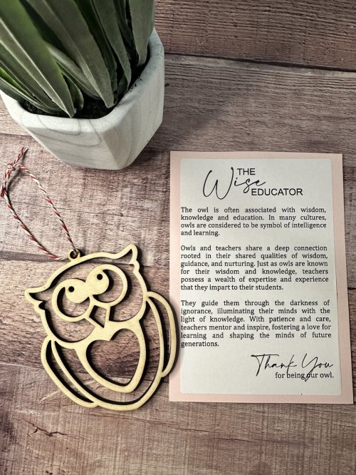 The Wise Educator